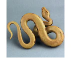 Realistic Snake Toy Rubber Snake Figure for Halloween Prank Props