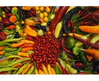 MIX CHILLI 15+ Seeds ALL TYPES chili pepper MIXED spring summer vegetable garden