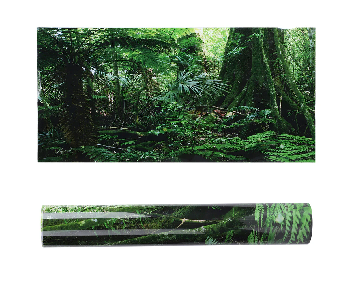 Pvc Reptile Box Rainforest Background Poster Fish Tank Wall Picture Painting Decoration Self Adhesive Sticker(61*30Cm )