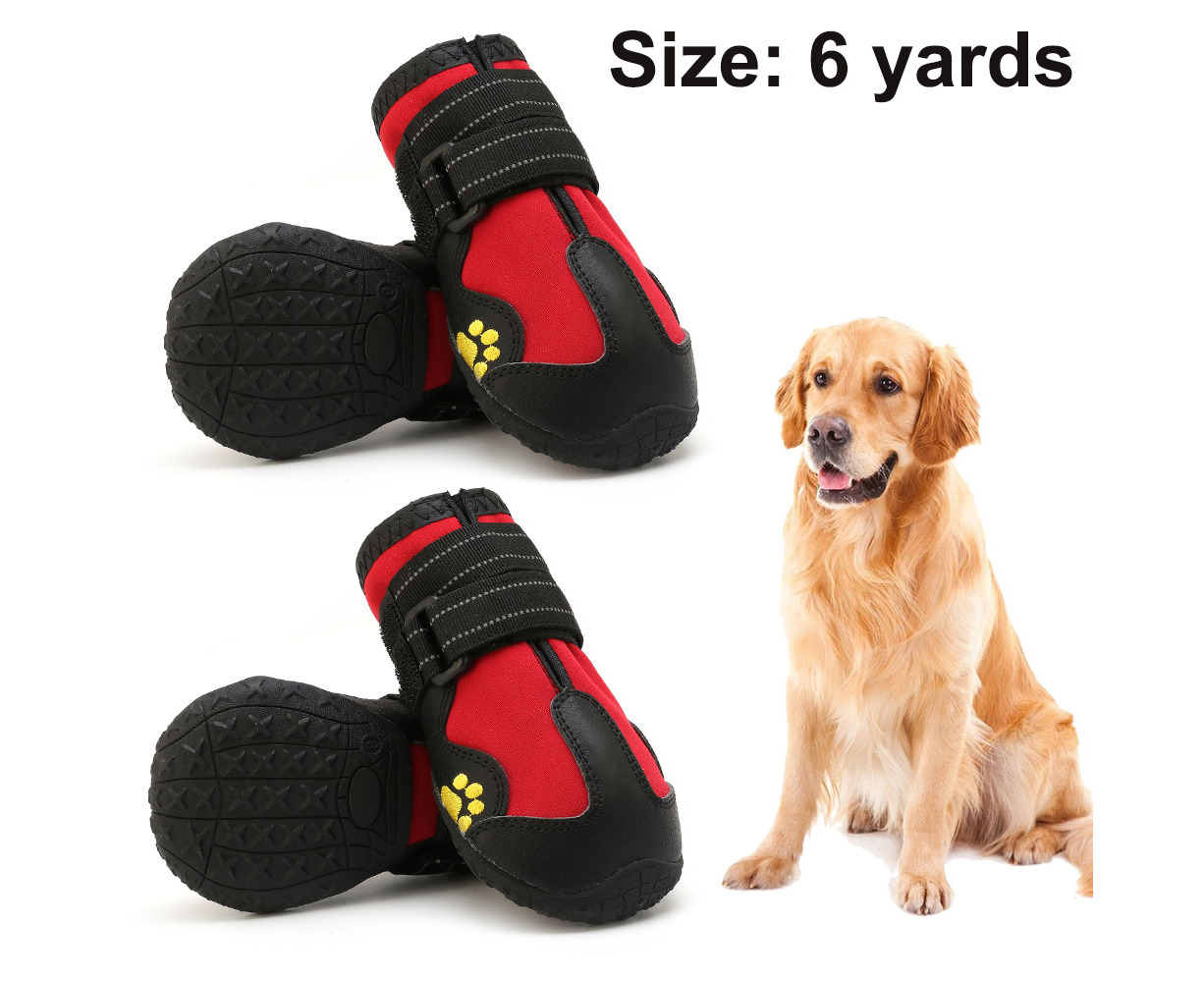 Puppy dog shoes hotsell