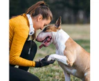 Dog Whistle To Stop Barking-Silent Bark Control for Dogs