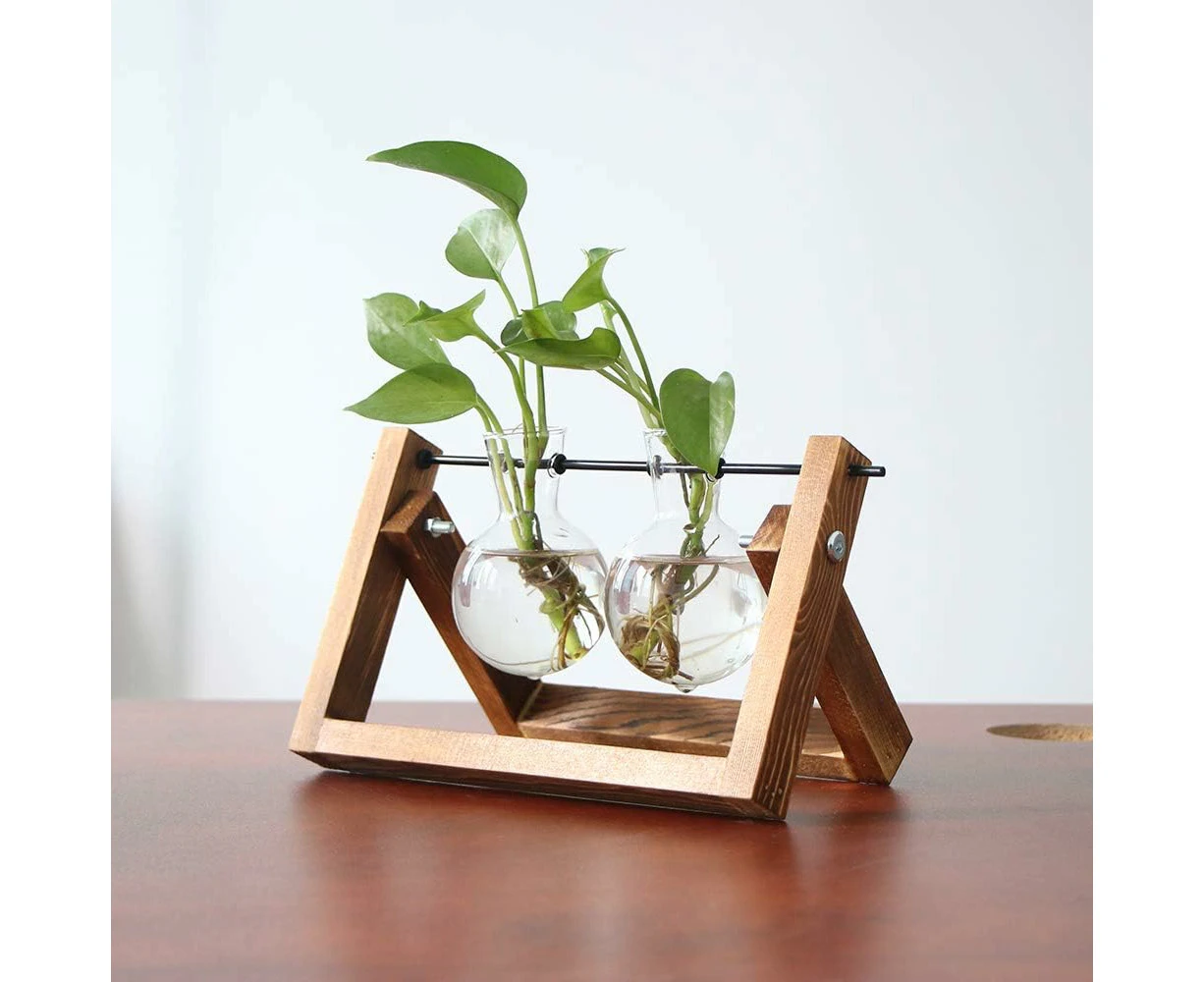 Plant Terrarium with Wooden Stand, Air Planter Bulb Glass Vase Metal Swivel Holder for Hydroponics Home Garden Office Decoration - 2 Bulb Vase