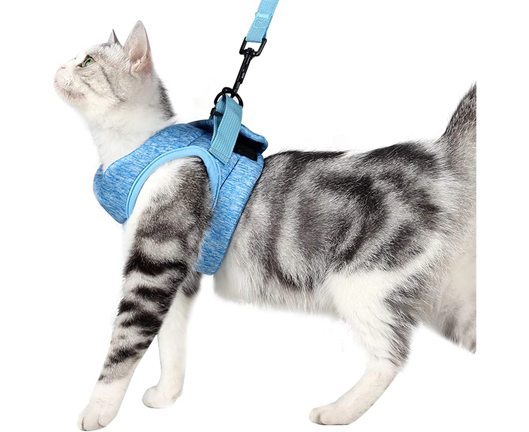 Cat Harness Escape Proof, Breathable Mesh Cat Walking Harness, Adjustable Cat Harness and Leash Set with Reflective Strips