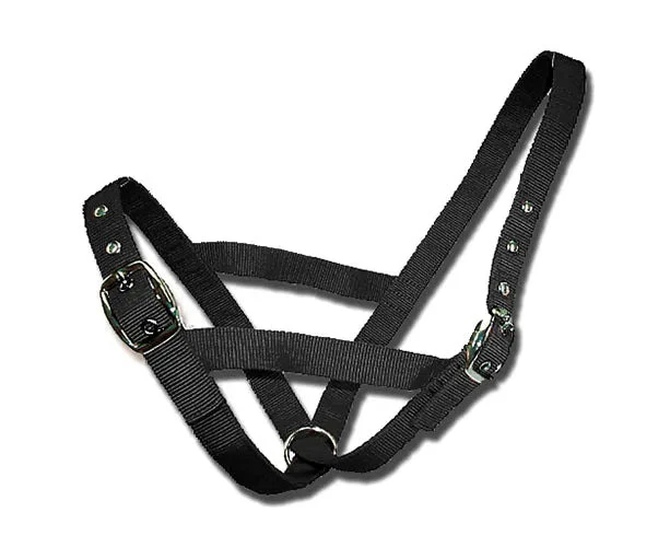 Cattle Halter Webbing Calf Blue