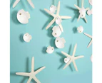 4m Starfish Sea Shell Garland Ocean Coastal Nautical Party Decoration Starfish Cutouts Hanging Bunting Banner