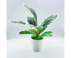 Sunshine Decorative Artificial Bonsai Fresh Keeping Reusable No Withering Simulation Plants Home Decor-C
