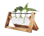 Hydroponic Vase Hanging Vase - Decorative Wooden Holder with Hydroponic Glass Vase Desktop Plant Terrarium Creative Glass Transparent Vase