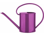 Small Watering can for Indoor Plants with Curved Handle 1.2L Suitable for Home and Garden