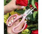 Garden Flower Scissors,  Stainless Steel Floral Shears, Strong Pruner for Flowers, Branches