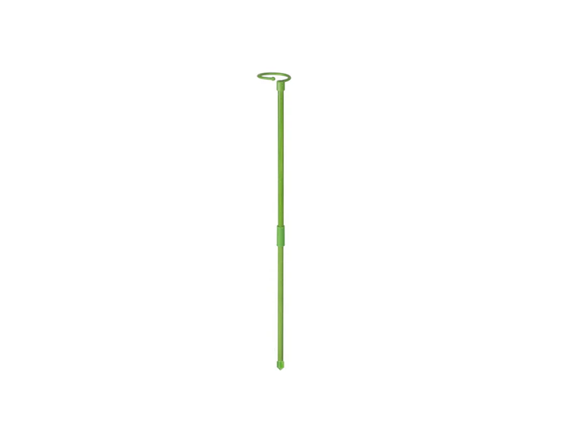 Pot Stand Shape Plant Anti-rust Durable Anti-deformed Long-lasting Wide Applications Reusable Plant Climbing Sturdy Plant Support Stakes for Amaryllis-60cm