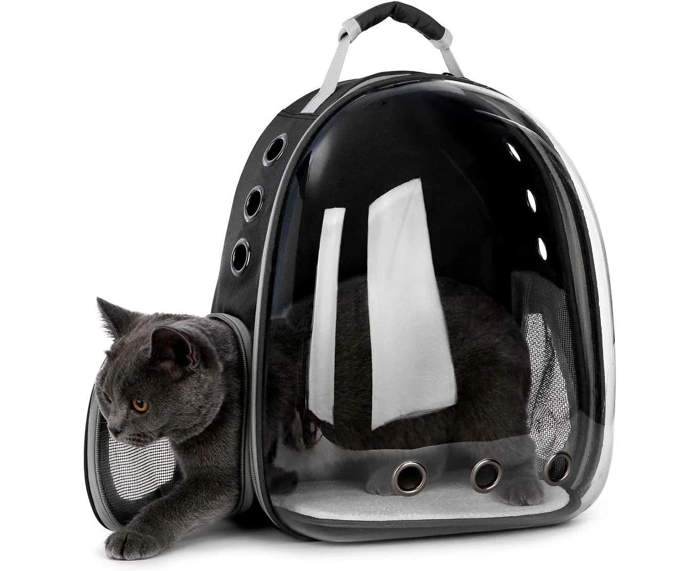 Pet backpack transport dog backpack for dogs and cats backpacks up to about 12KG-Schwarz