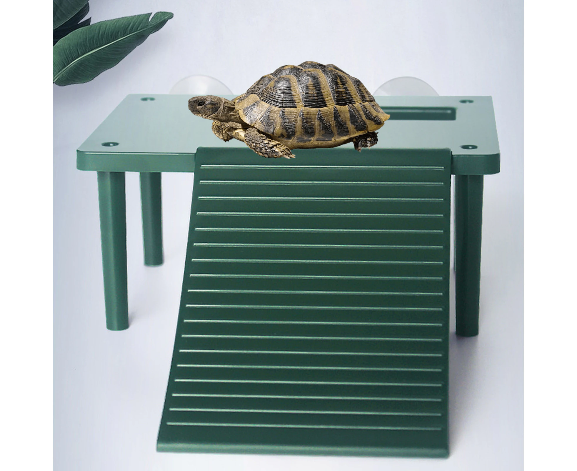 Turtle Terrace Solid Multifunctional Burr-free Smooth Surface Creative Entertaining Climbing Ladder Turtle Climbing Basking Platform for Puppy - Green