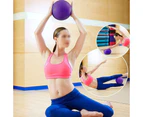 3Pcs Mini Exercise Balls, Small Pilates Ball for Yoga Fitness Balance Training Physical Therapy -blue+purple+pink