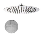 Stainless Steel Overhead Shower Rain Shower, Shower Head, 12 Inches, Stainless Steel