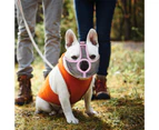 Dog Special Muzzle Buckle Design nnovative Anti-bite Nylon Mesh Short Dog Prevent Barking Muzzle for Outing-Pink M