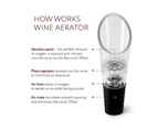 Wine Aerator Pourer (2 Pack) - Premium Aerating Decanter Spout