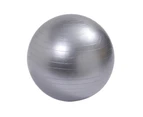 Fulllucky Yoga Ball Multifunctional Explosion-proof Strong Bearing Capacity Soft Gymnastic Fitness Pilates Ball for Gym - Silver