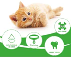 Cat Toothbrush Catnip Toy,Interactive Rubber Dental Care for Pet Kitten Kitty -Green