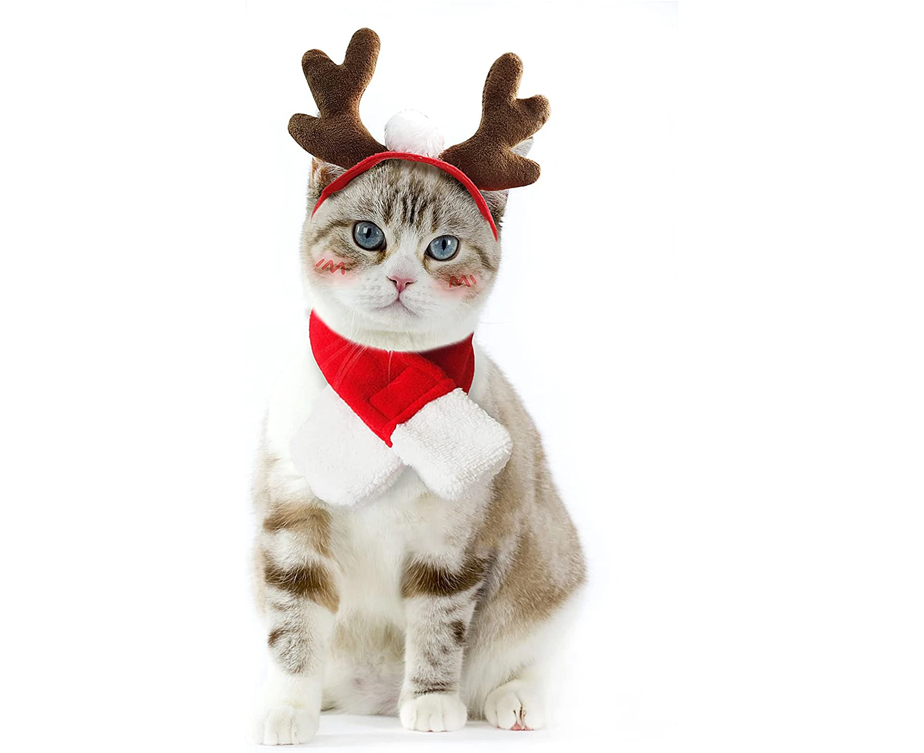 Pet Costume, 2pcs Small Dog Cat Sailor Costume, Halloween Witch Hat, Santa Set, Christmas Antler Headband With Scarf