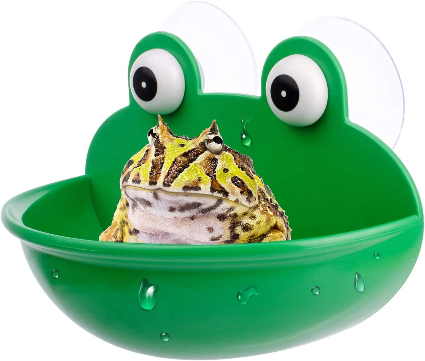 Amphibian Aquatic Frog Habitat, Cute Fish Tank Decoration, Suitable for Frog/Toad/Gecko/Tadpole/Turtle and Other Small Aquatic Animals