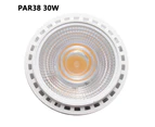 Full Spectrum LED Grow Light—Par38/30W