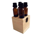 4 Slots Mini Solid Wooden Essential Oil Storage Box Container Organizer Gift