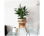 Rattan Stand Natural Woven Flower Stand Plant Pot Holder For Gardening Home Decor