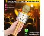 Rechargeable Wireless Microphone System Karaoke Microphone Wireless