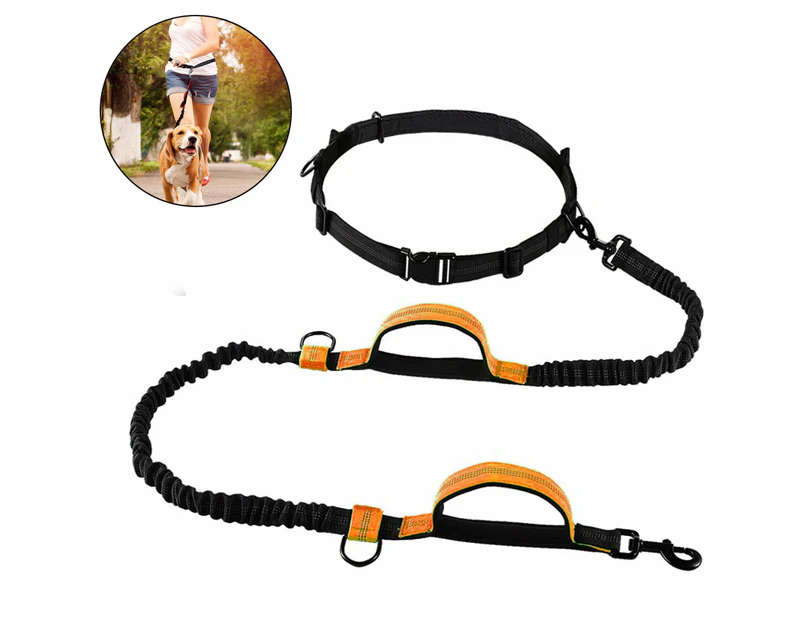 Dog Leash, Hands-free Dog Leash with Two Bungees, Long Nylon Dog Leash-Fluorescent orange