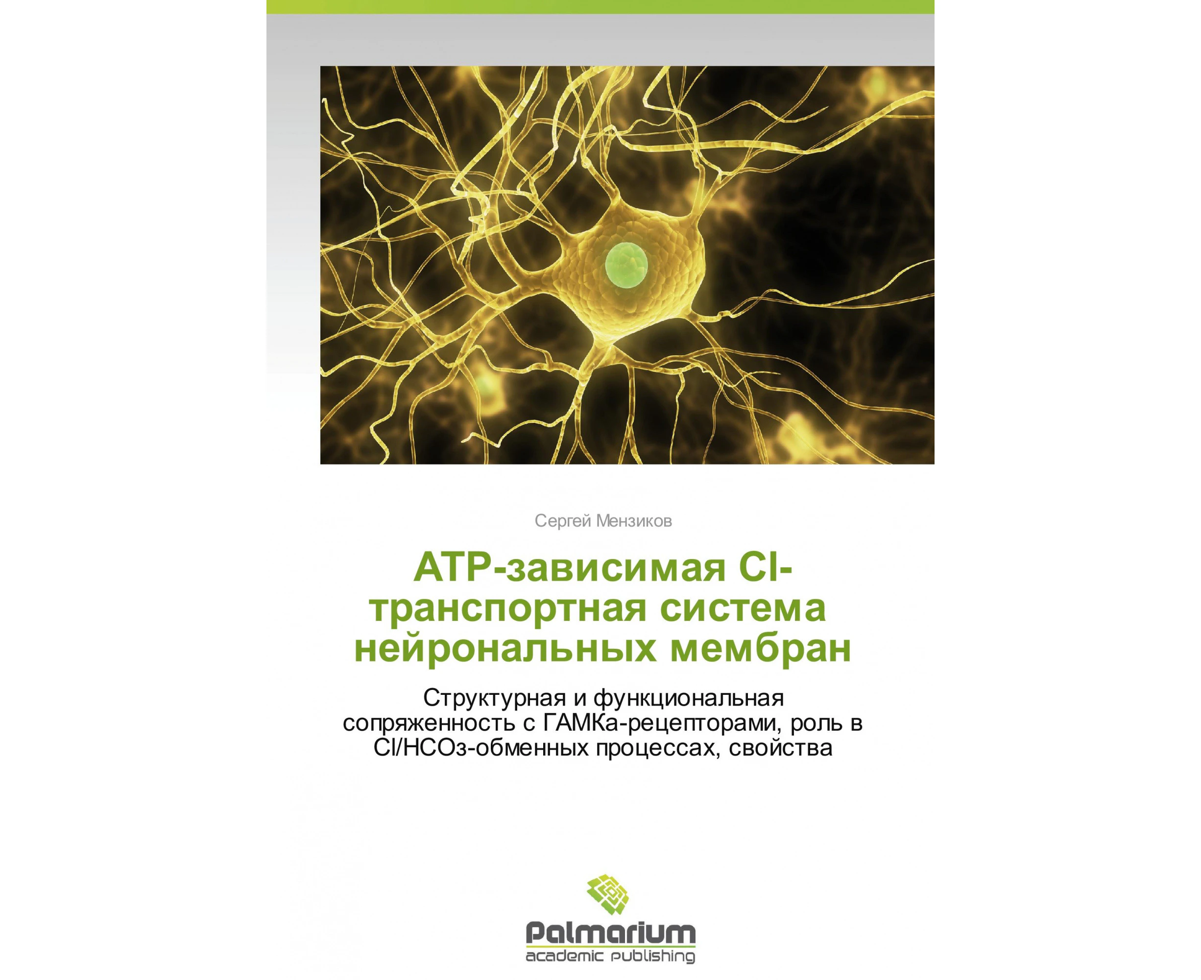 ATR-zavisimaya Sl-transportnaya sistema   neyronal'nykh membran [Russian]