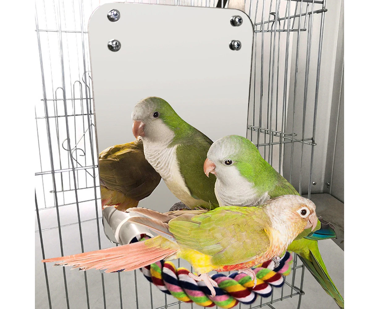 Pet Bird Parrot Mirror Cotton Rope Perch Cage Mounted Decor Bite Chew Molar Toy-Random Color