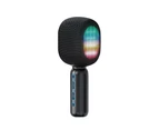 Wireless Karaoke Microphone and Speaker - USB Type C Charging - Black