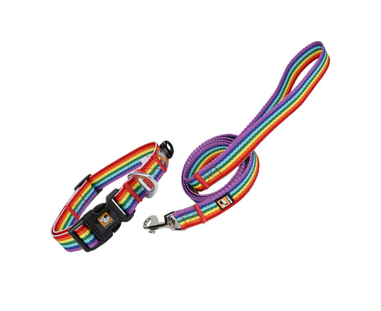 Native Pup Rainbow Flag Dog Collar Gay Pride Stuff for Parade,