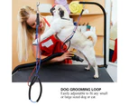 Dog Cat Grooming Loop Adjustable Double Noose Ropes For Pet Table Arm Bath Tub(L)