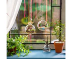 Hanging Glass Terrarium 4 Pieces Large Opening Vase Plant Balls 10cm Flower Vase Pot Glass Balls Home Wedding Garden DIY Design