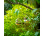 Hanging Glass Terrarium 4 Pieces Large Opening Vase Plant Balls 10cm Flower Vase Pot Glass Balls Home Wedding Garden DIY Design