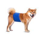 ishuif Pet Belly Band Adjustable Leak-proof Fabric Diaper Dog Shorts Pet Physiological Pants for Female Dogs-Blue S