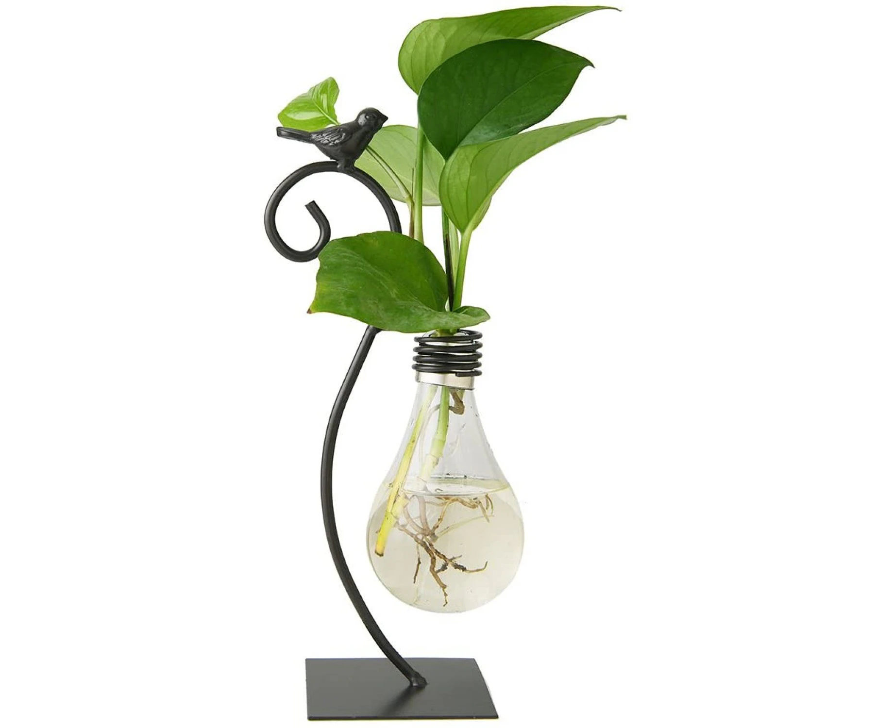 Desktop Glass Planter Hydroponics Vase,Planter Bulb Vase with Holder for Home Decoration,Modern Creative Bird Plant Terrarium Stand Scindapsus Container