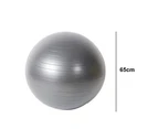 Exercise Ball for Yoga, Balance, Stability - Fitness, Pilates, Birthing, Flexible Seating -grey 65cm