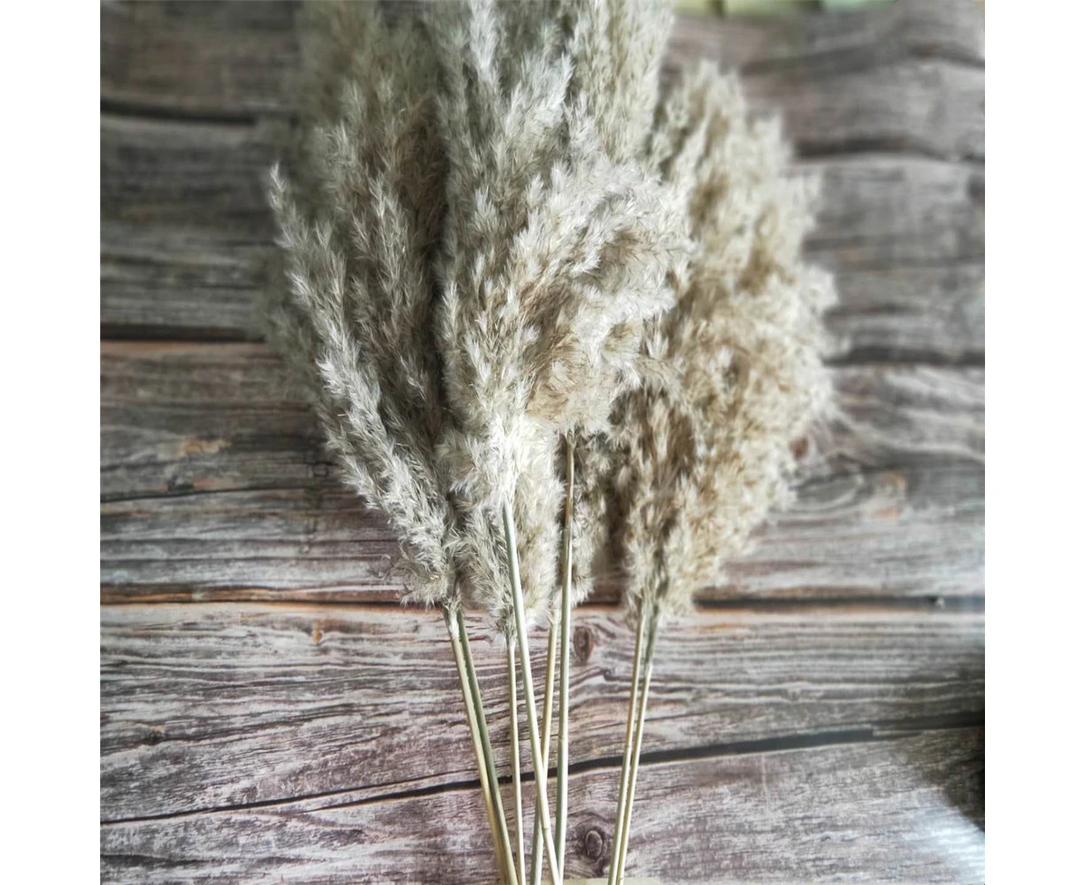 20Pcs Dried Pampas Grass Decor Natural Pompous Wild Fluffy Pompas Floral Boho Decor Flowers Wedding Party Farmhouse Home Decor Bathroom Office Kitchen