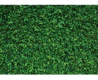 Green Leaves Backdrop Grass Wall Safari Birthday Party Decorations Banner Photo Booth Backdrop Hedge Grass Photography Backdrop