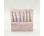 SunnyHouse Cosmetic Rack  Reusable  Convenient  with Dust Cover  6-Hole Grafting False Eyelashes Tweezers Storage Box Holder  for Women  -Pink