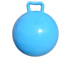 Kids Exercise Ball Multi-Function, Bouncy Ball with Handles, Kids Balance Ball and Ball Chair -blue