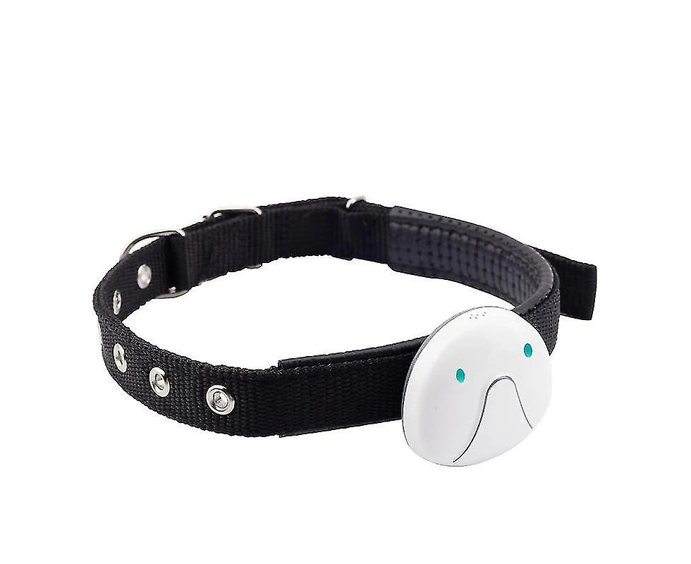 Smart Gps Cat Dog Collar Gps Tracker