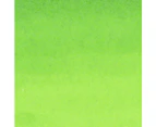 ZIG Clean Colour Real Brush Lime Green  409