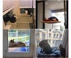 Cats Window Seat Window Lounger Cats Hammock + Cat Blanket, Sunbathing Cat Bed Pet Bed