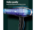 Ac Motor Professional Hair Dryer, Ceramic Technology, Black,Hair Salon Blue Light Frequency Conversion Strong Wind Send 3+ Clip