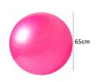 Exercise Ball Yoga Ball – Stability Ball for Home, Gym, Birthing Ball -pink