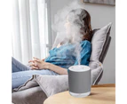 Portable Humidifier, Mini Cool Mist Humidifier with Night Light, USB Personal Humidifier gray