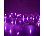 Erlez 2/5/10m LED Copper Wire Fairy String Lights Garland Wedding Garden Party Decor-Purple 2M 20LED